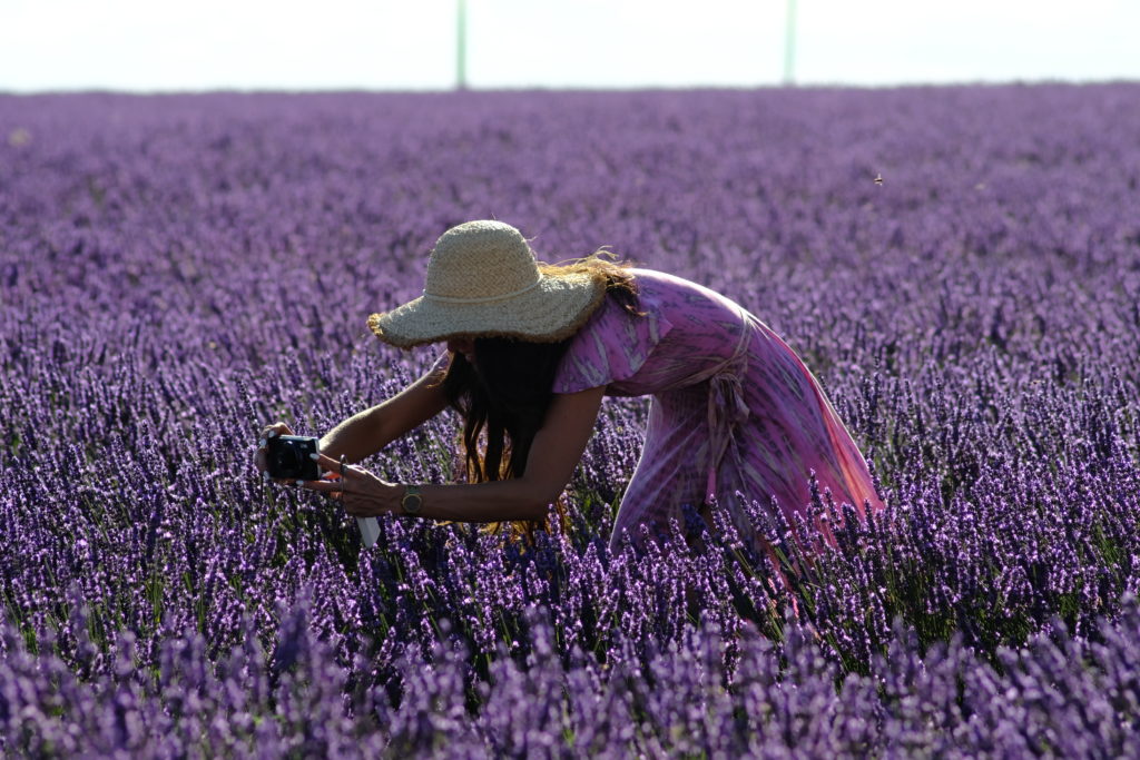 Ragazza in un campo di lavanda, la ricerca dell'anima gemella.